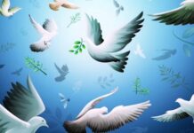 1 EYLÜL DÜNYA BARIŞ GÜNÜ ARTIK KUTLU OLSUN!